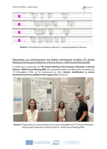 Lyon 2024 conference